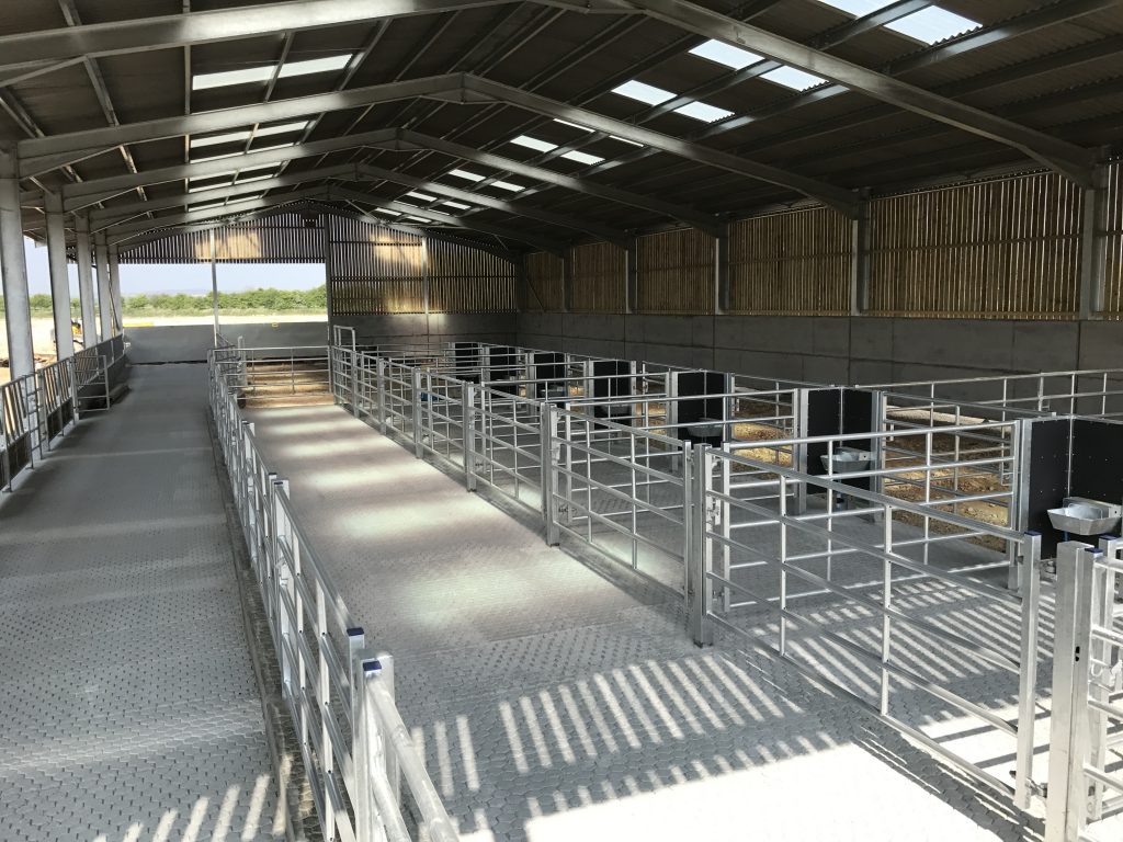 cattle shed